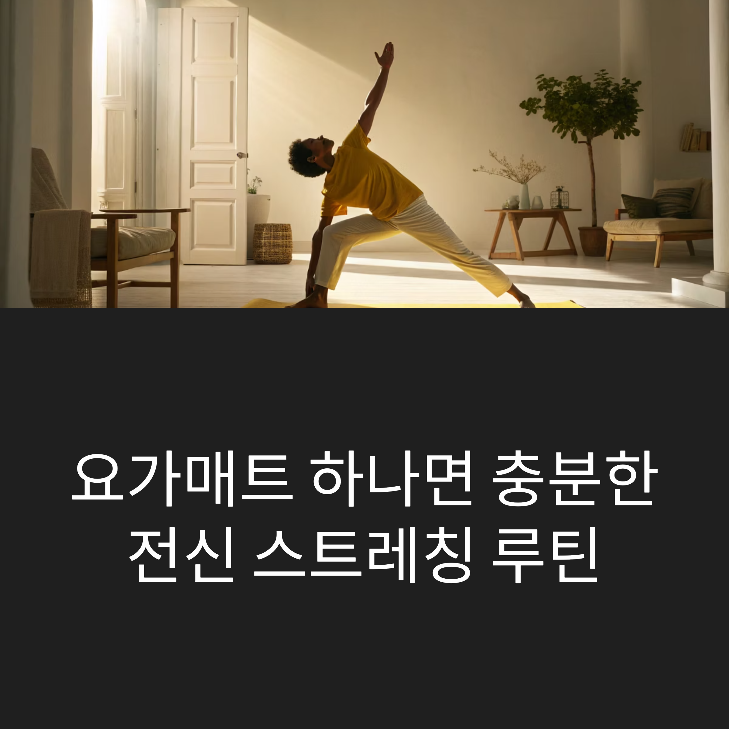 요가매트 하나면 충분한 전신 스트레칭 루틴